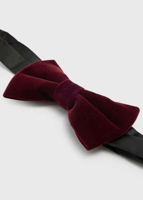 Taylor & Wright Plum Velvet Bow Tie - One Size Image 2