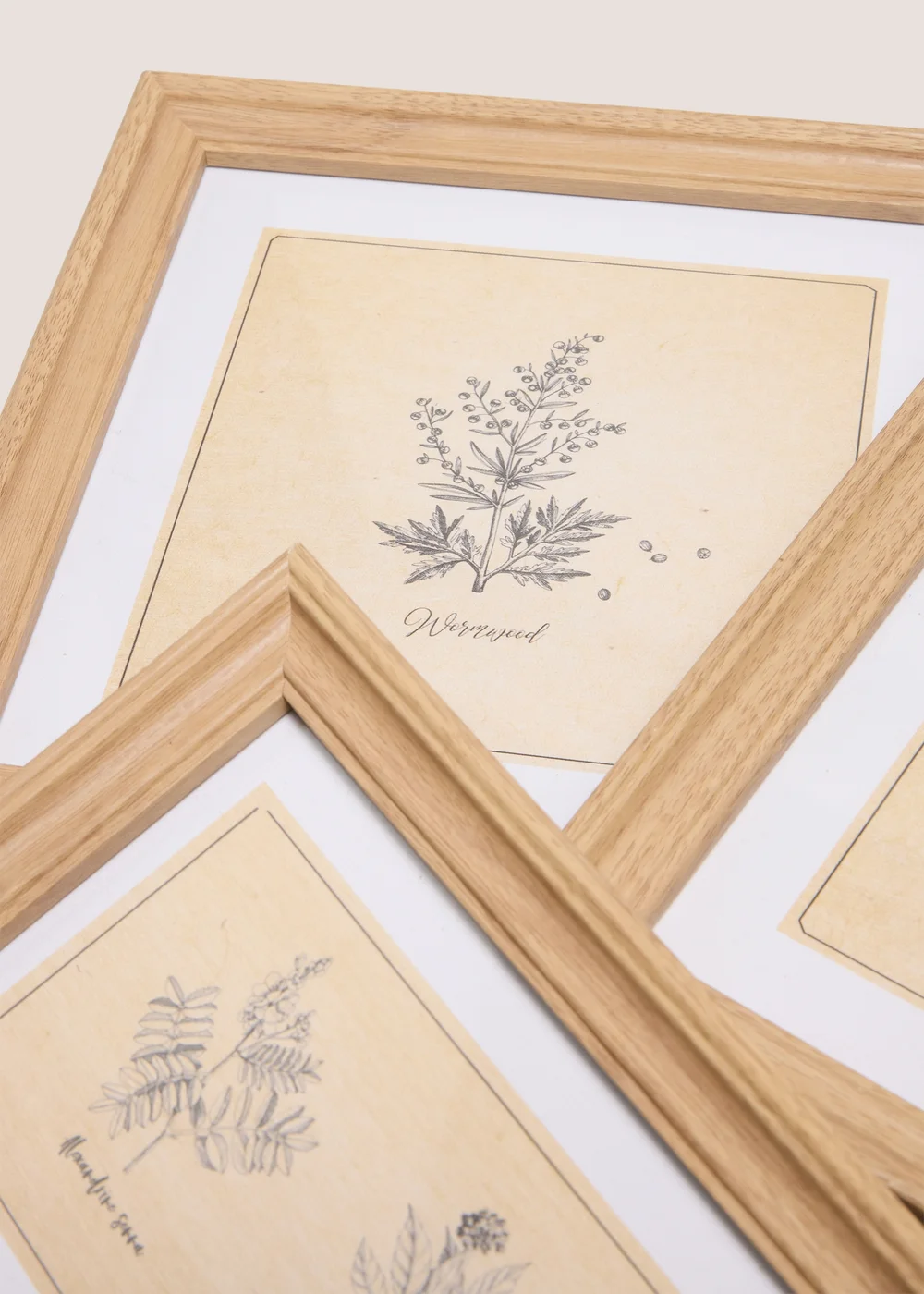 3 Pack Floral Vintage Wall Art Image 2