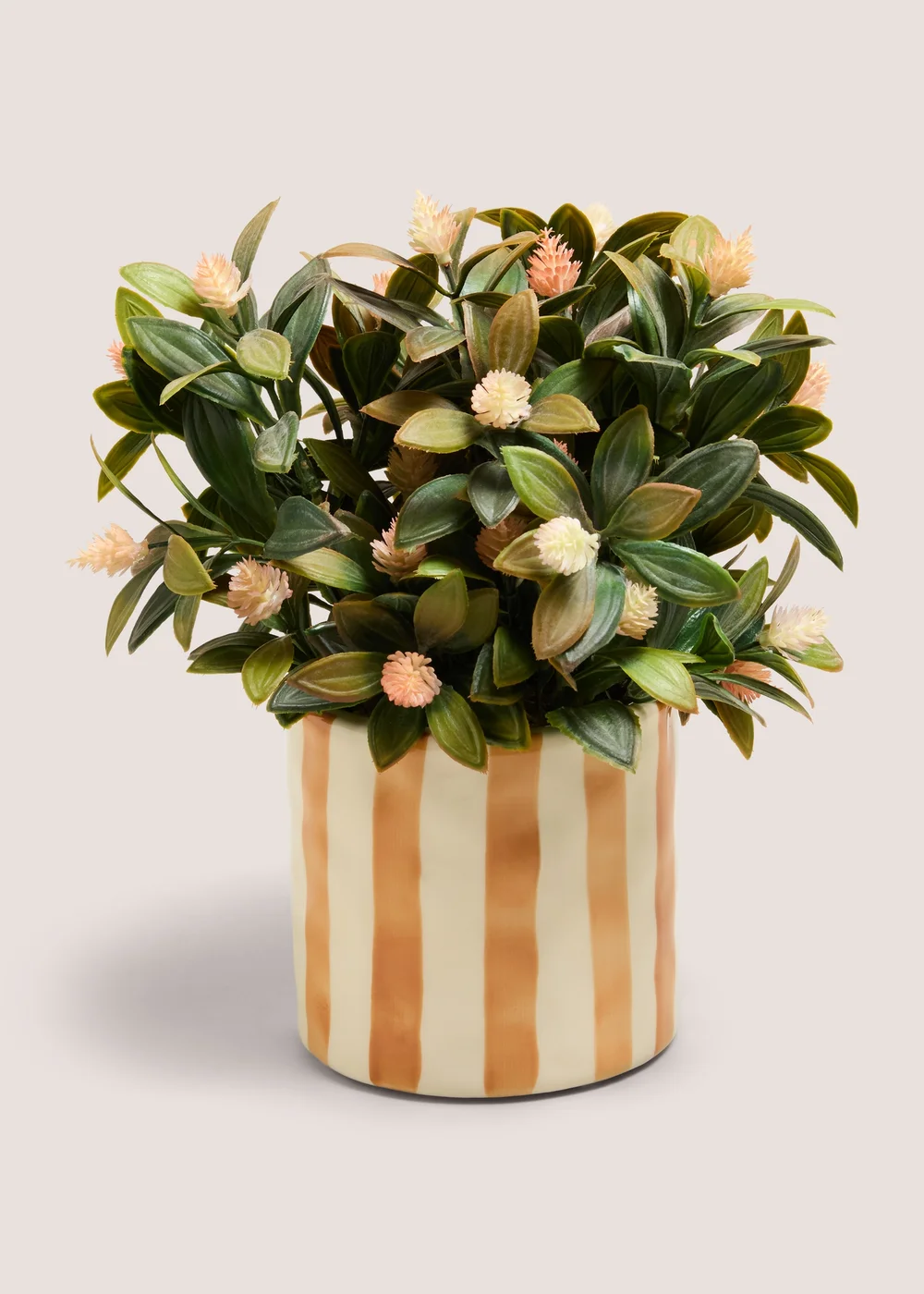 Orange Flowers In Striped Pot Image 1
