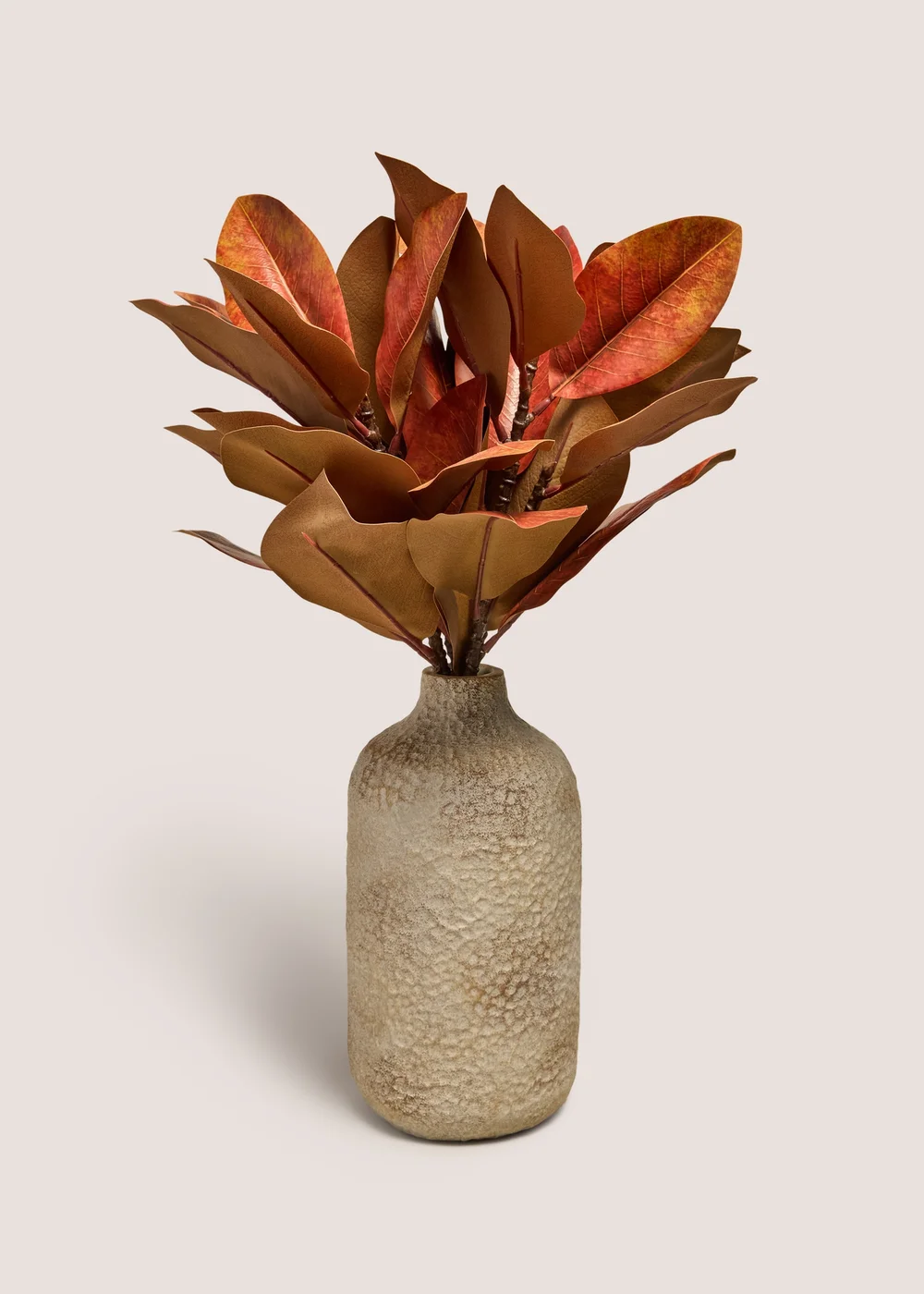 Rust Leaf Plant With Pot Image 1