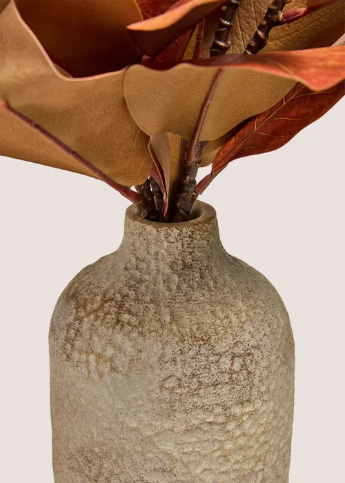 Rust Leaf Plant With Pot Image 2