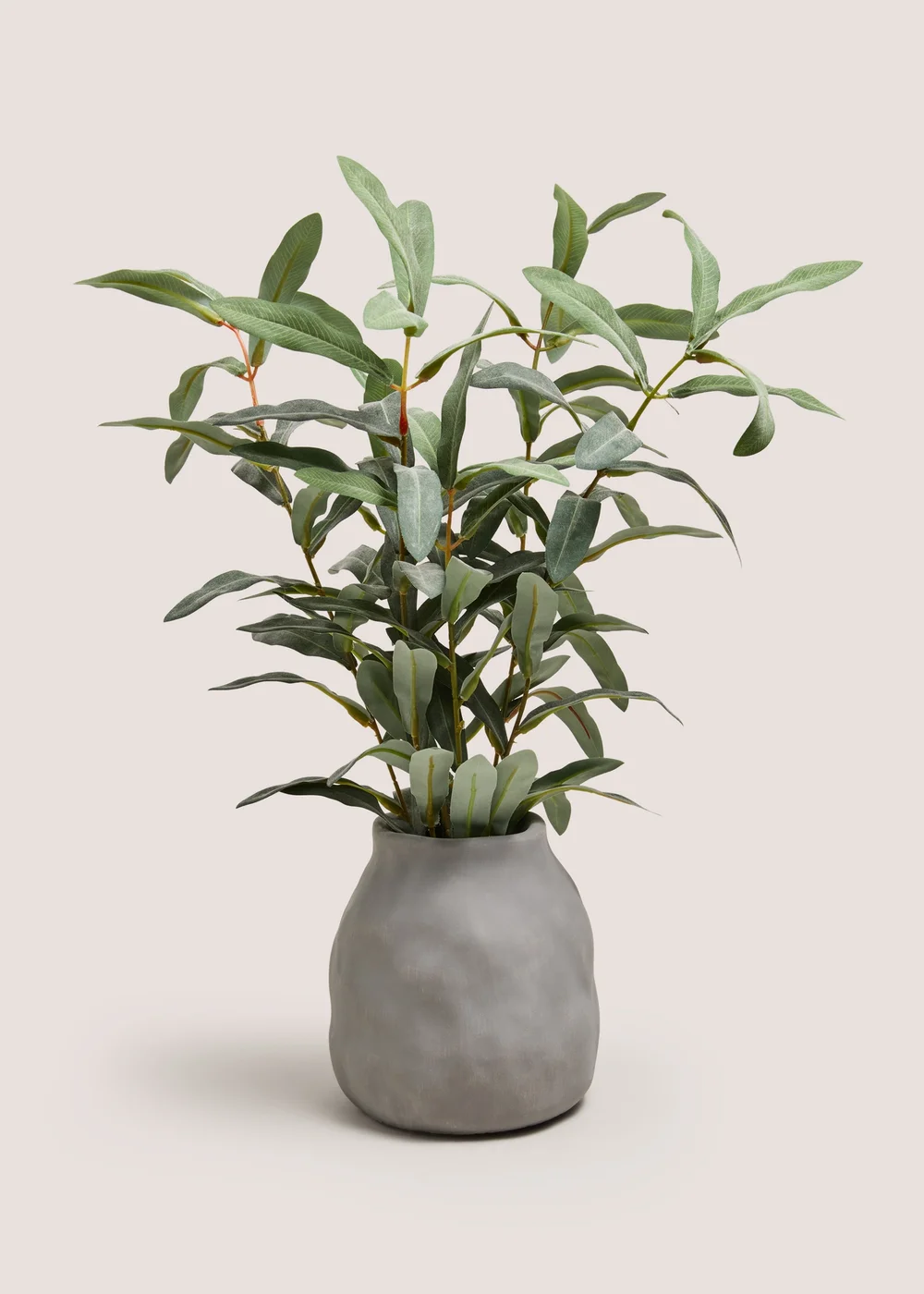 Green Plant in Grey Pot Image 1
