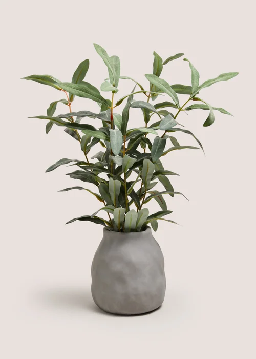 Green Plant in Grey Pot Image 1