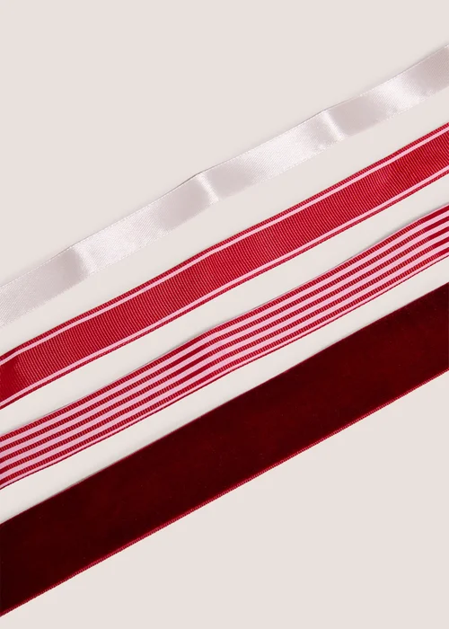 4 Pack Burgundy Ribbons Image 2