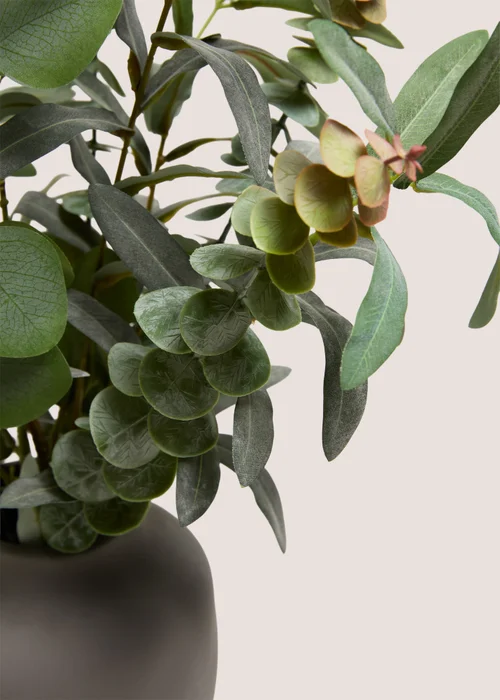 Dark Greenery in a Grey Pot Image 2