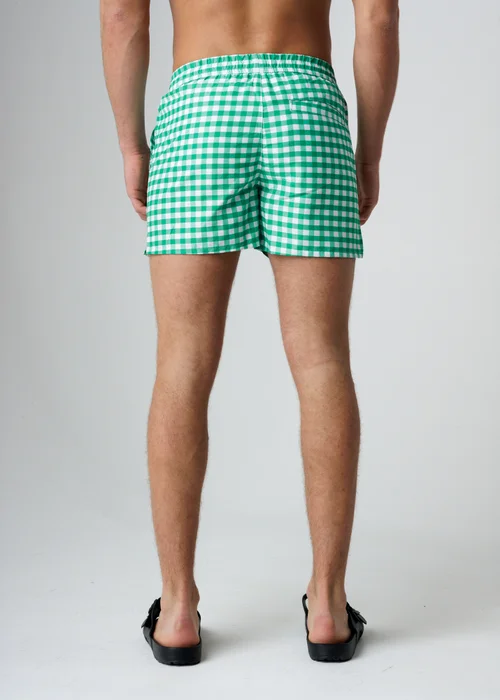 Influence Green Elasticated Gingham Print Swim Shorts - S Image 2