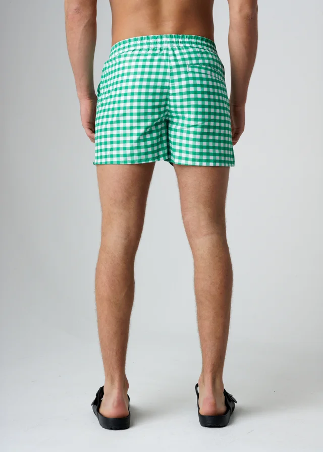 Influence Green Elasticated Gingham Print Swim Shorts