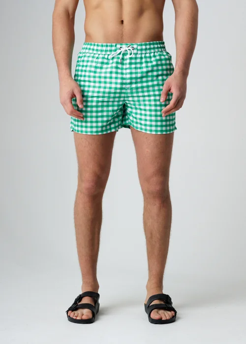 Influence Green Elasticated Gingham Print Swim Shorts - S Image 1