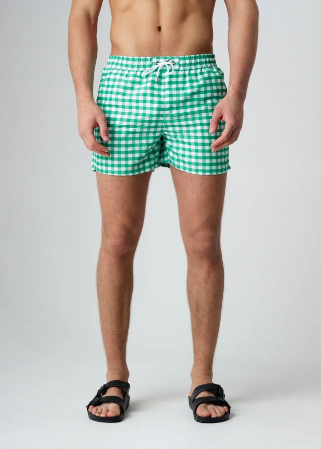 Influence Green Elasticated Gingham Print Swim Shorts