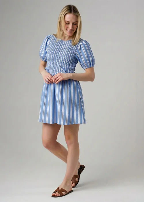 Wednesday’s Girl Blue Cotton Striped Shirred Puff Sleeve Mini Dress - 12 Image 1