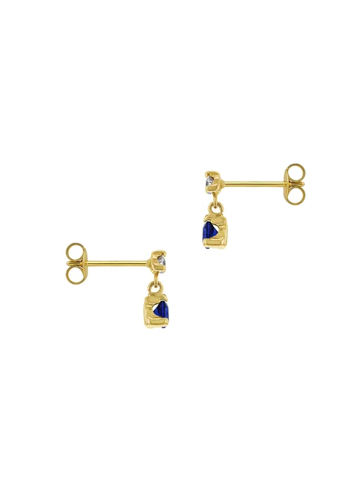 Golden Moments 9ct Yellow Gold Blue & White CZ Drop Stud Earrings - One Size Image 3