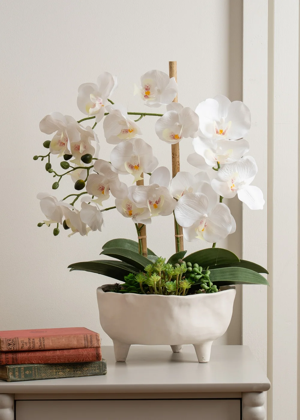 Scottish Everlastings White Orchid in Footed Cement Pot 50cm - One Size Image 1