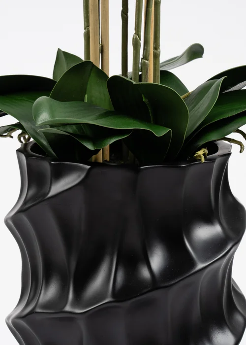 Scottish Everlastings Real Touch Phalaenopsis Orchid in Pot 110cm - One Size Image 3