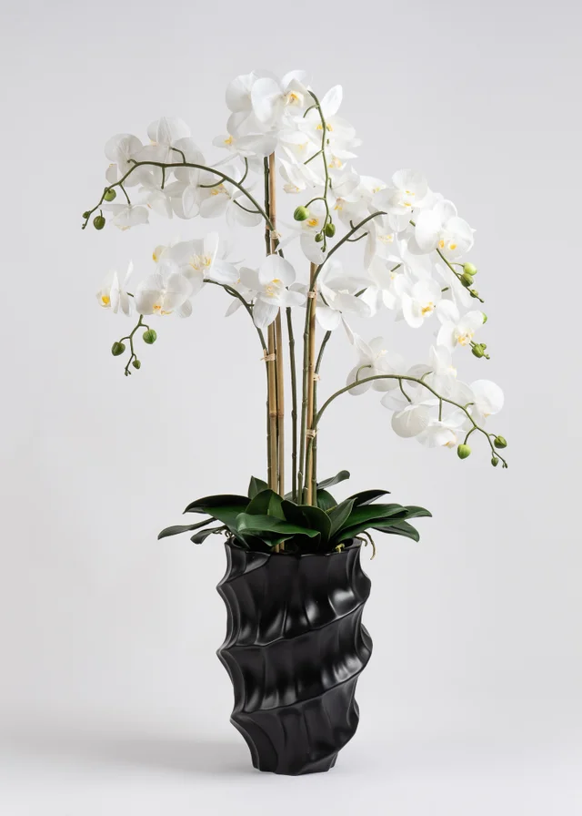 Scottish Everlastings Real Touch Phalaenopsis Orchid in Pot 110cm