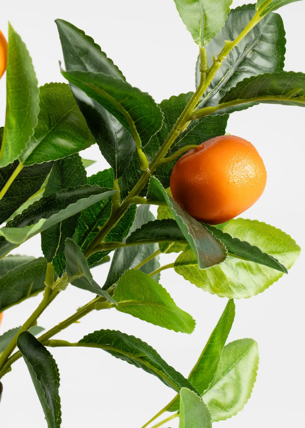 Scottish Everlastings Orange Tree in Woven Basket 76cm - One Size Image 3
