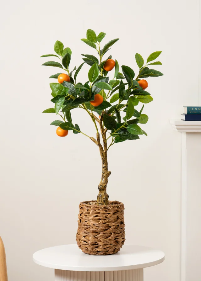Scottish Everlastings Orange Tree in Woven Basket 76cm