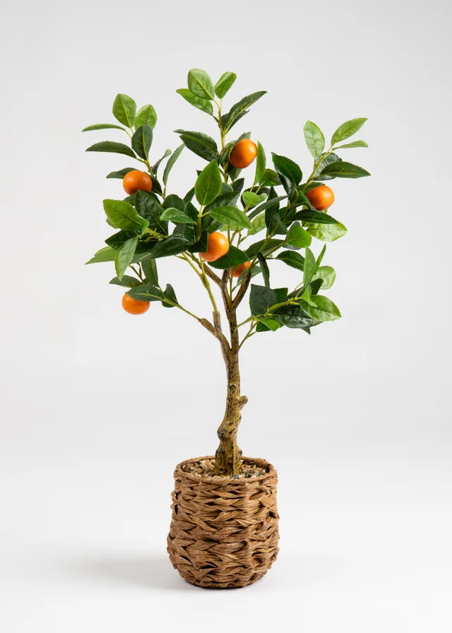 Scottish Everlastings Orange Tree in Woven Basket 76cm