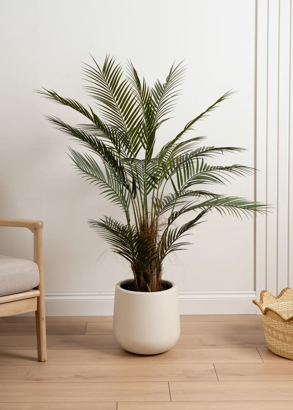 Scottish Everlastings Palm Tree in White Pot 125cm - One Size Image 1
