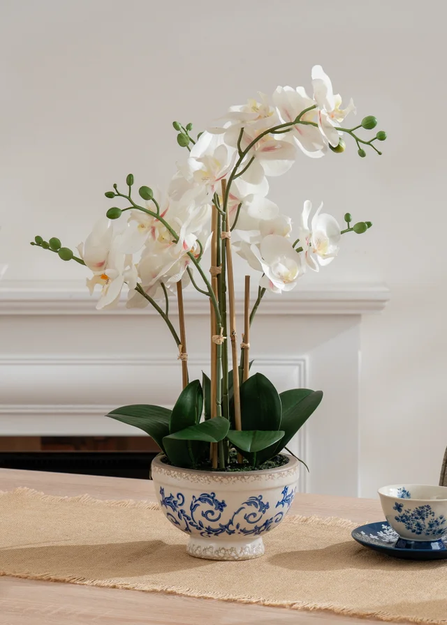 Scottish Everlastings Real Touch Cream Phalaenopsis Orchid in Pot 54cm