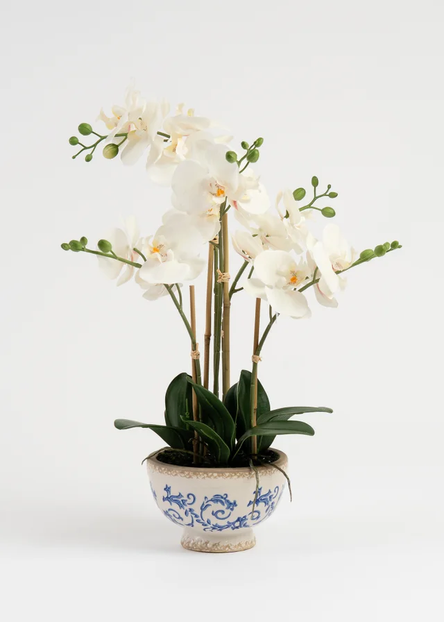 Scottish Everlastings Real Touch Cream Phalaenopsis Orchid in Pot 54cm