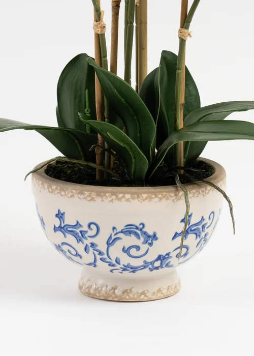Scottish Everlastings Real Touch Cream Phalaenopsis Orchid in Pot 54cm - One Size Image 3