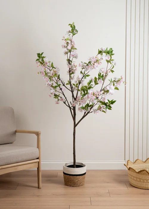 Scottish Everlastings Pink Cherry Blossom Tree 180cm - One Size Image 1