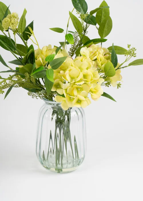 Scottish Everlastings Green Hydrangeas in Glass Vase 41cm - One Size Image 3