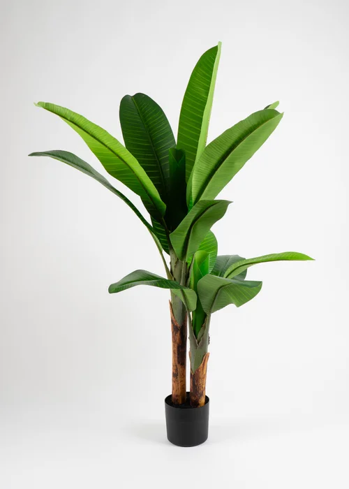 Scottish Everlastings Real Touch Banana Tree 160cm - One Size Image 2