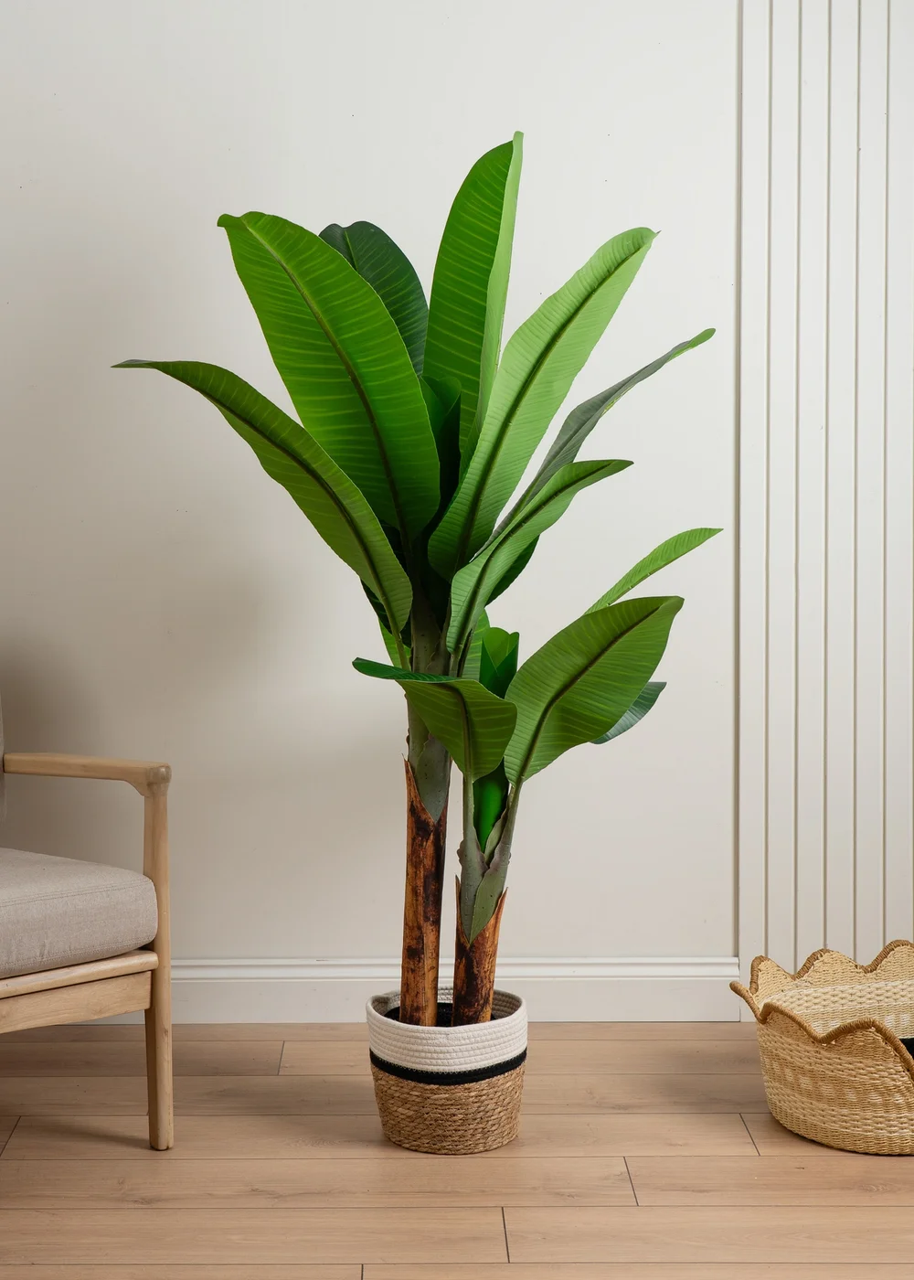 Scottish Everlastings Real Touch Banana Tree 160cm - One Size Image 1