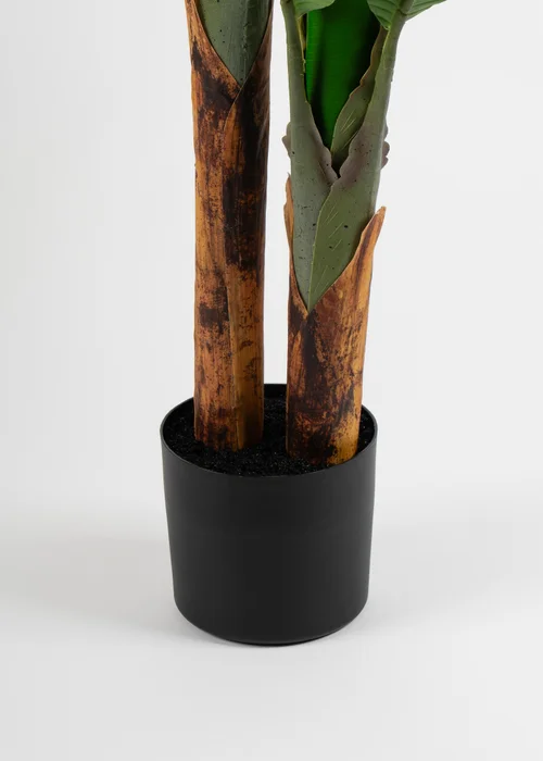 Scottish Everlastings Real Touch Banana Tree 160cm - One Size Image 3