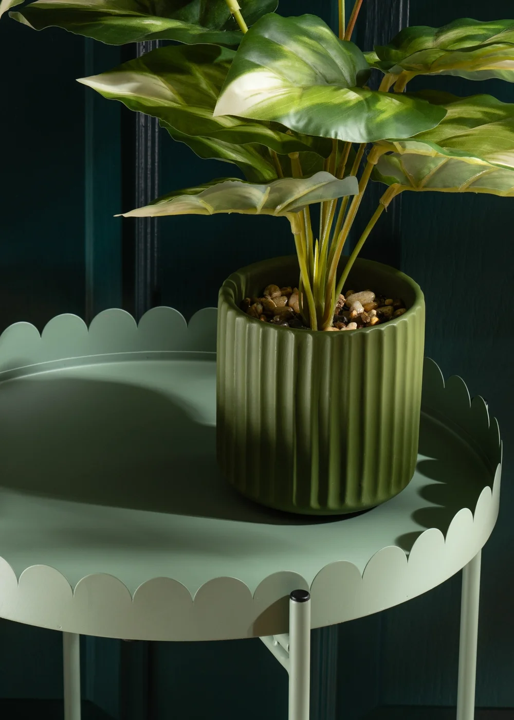 Scottish Everlastings Green Round Scallop Table - One Size Image 3