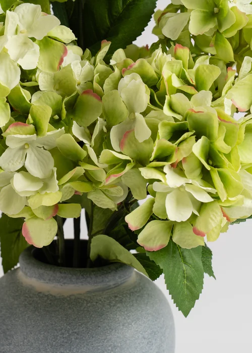 Scottish Everlastings Hydrangeas in Grey Vase 50cm - One Size Image 3