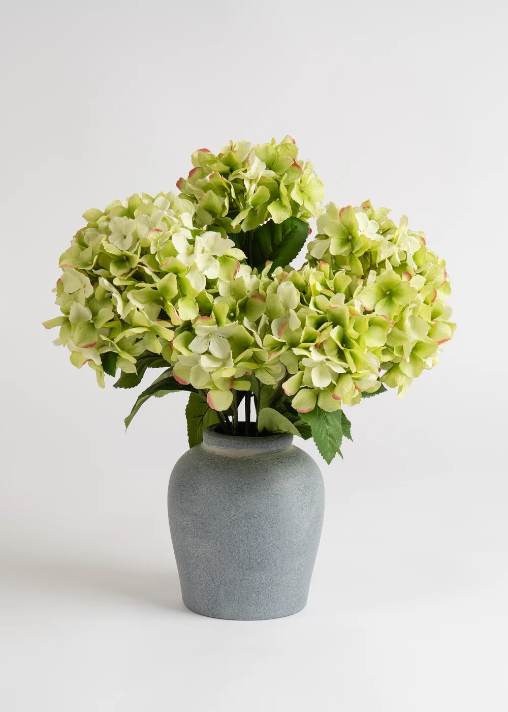 Scottish Everlastings Hydrangeas in Grey Vase 50cm - One Size Image 2