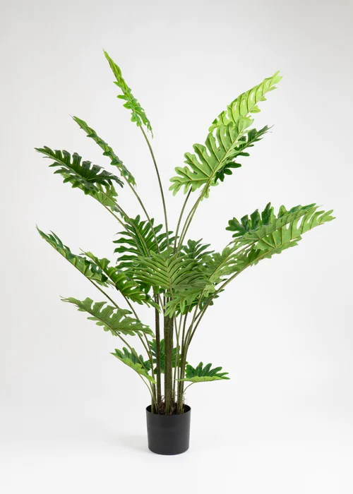 Scottish Everlastings Real Touch Philodendron Tree 175cm - One Size Image 2