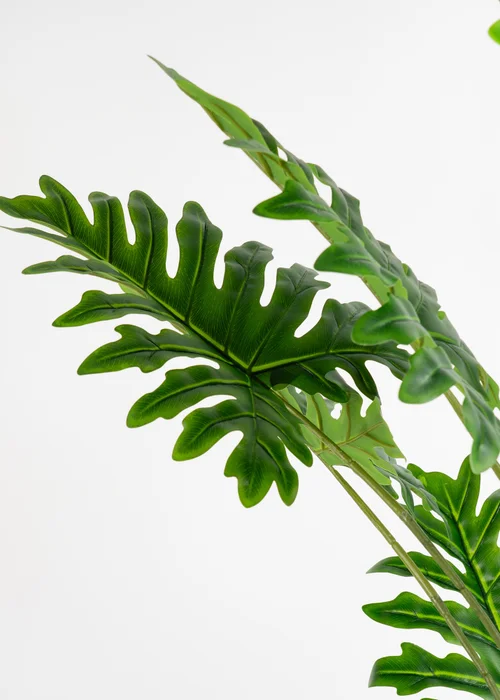 Scottish Everlastings Real Touch Philodendron Tree 175cm - One Size Image 3
