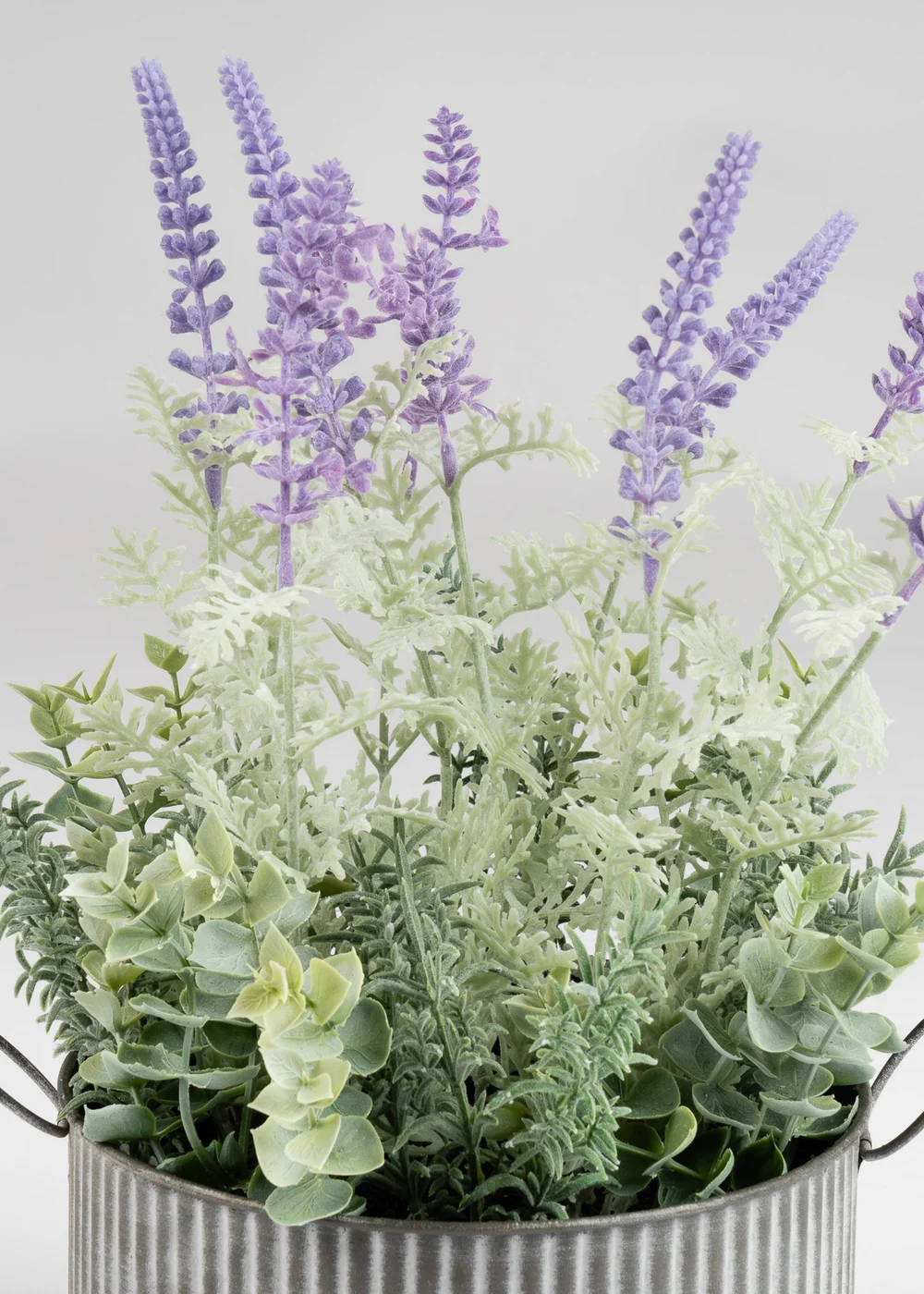 Scottish Everlastings Lavender in Iron Pot 37.5cm - One Size Image 3