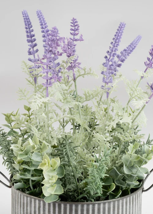 Scottish Everlastings Lavender in Iron Pot 37.5cm - One Size Image 3