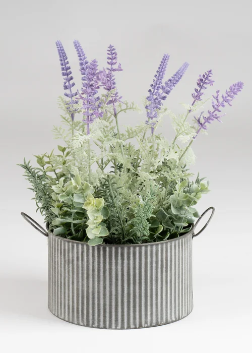 Scottish Everlastings Lavender in Iron Pot 37.5cm - One Size Image 2