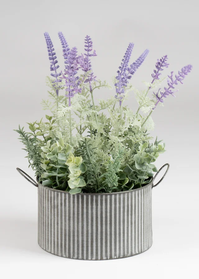 Scottish Everlastings Lavender in Iron Pot 37.5cm