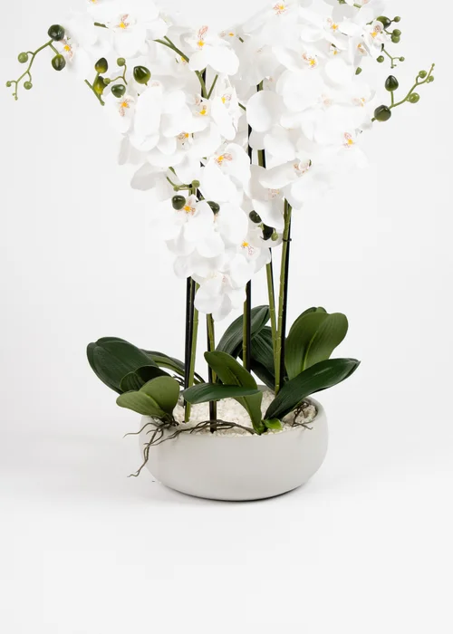 Scottish Everlastings Real Touch 10-stem Orchid in Grey Ceramic Pot 68cm - One Size Image 3
