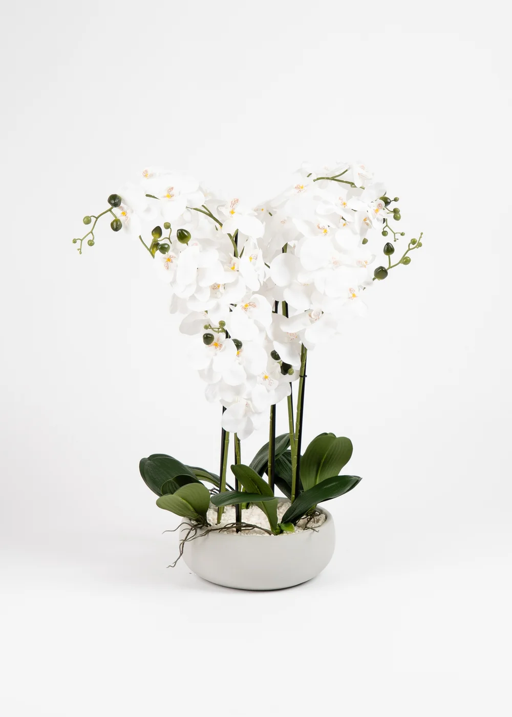 Scottish Everlastings Real Touch 10-stem Orchid in Grey Ceramic Pot 68cm - One Size Image 2
