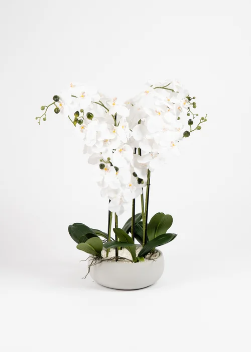Scottish Everlastings Real Touch 10-stem Orchid in Grey Ceramic Pot 68cm - One Size Image 2