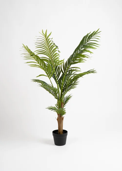 Scottish Everlastings Kwai Tree 120cm - One Size Image 2