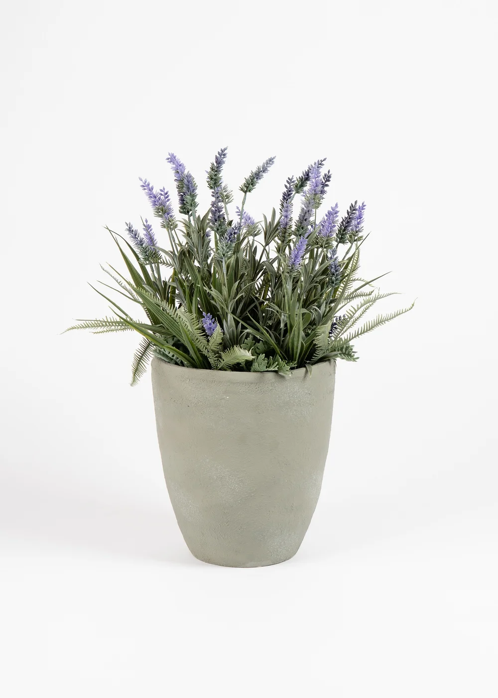 Scottish Everlastings Lavender & Grasses in grey cement pot 60cm - One Size Image 2