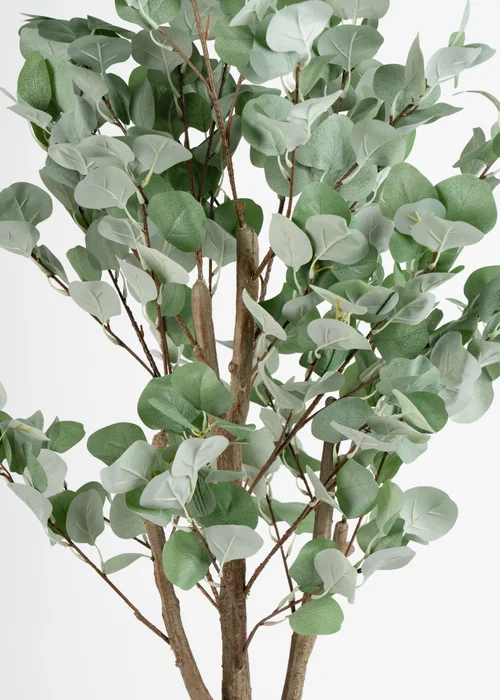 Scottish Everlastings Eucalyptus Tree 150cm - One Size Image 3