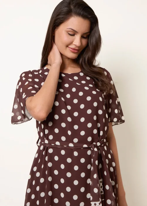 Blue Vanilla Brown Polka Dot Short Sleeve Border Dress - S Image 2