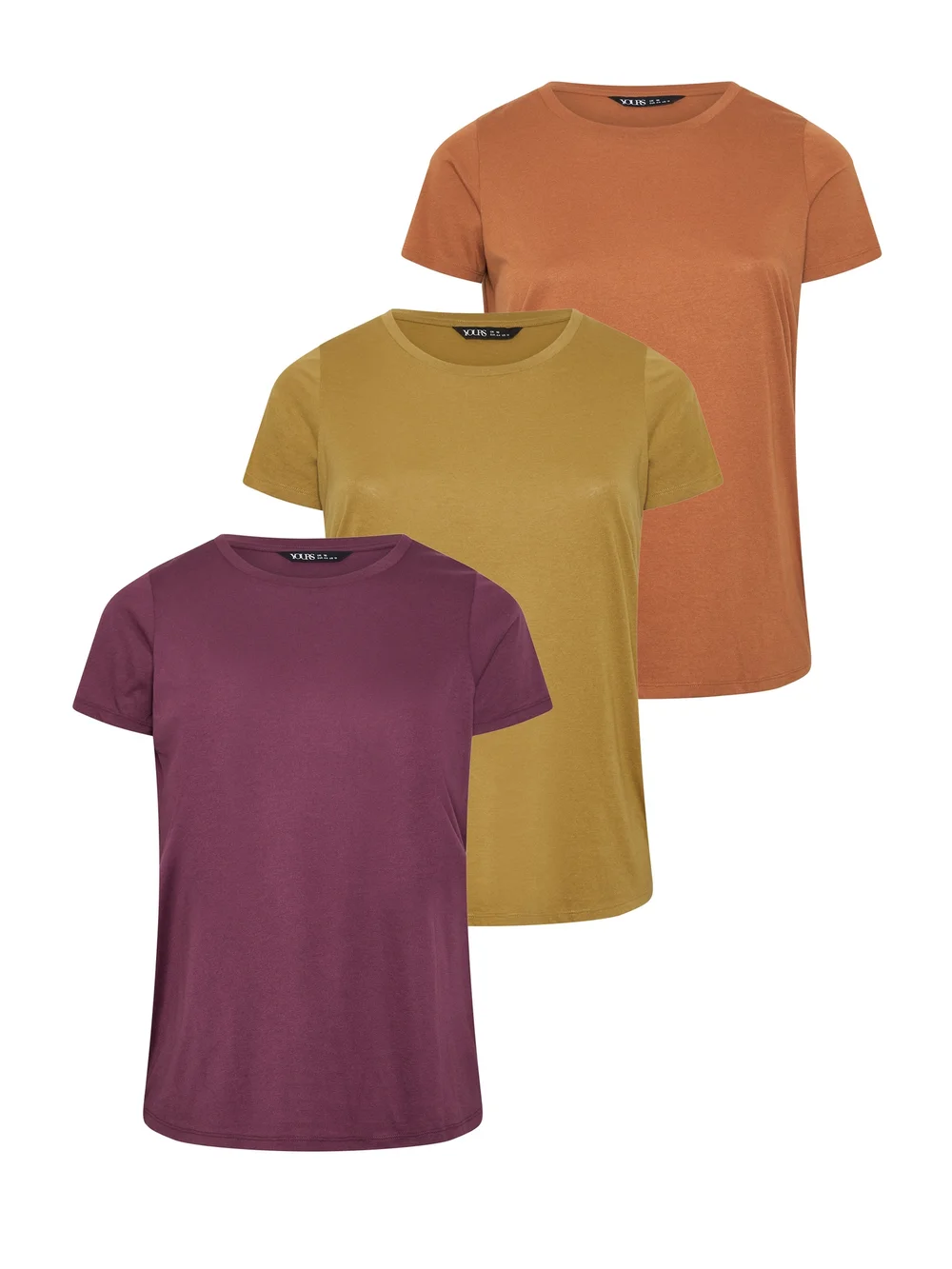 Yours 3 Pack Curve Green & Purple Core T-Shirts - 14 Image 1