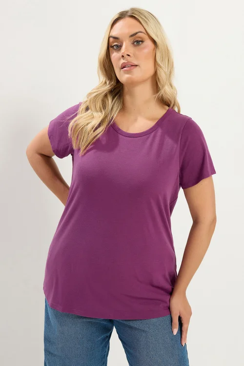 Yours 3 Pack Curve Purple & Blue Core T-Shirts - 22-24 Image 2