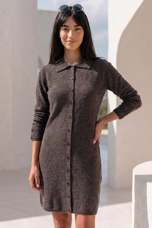 Roman Chocolate Petite Collared Knit Shift Dress