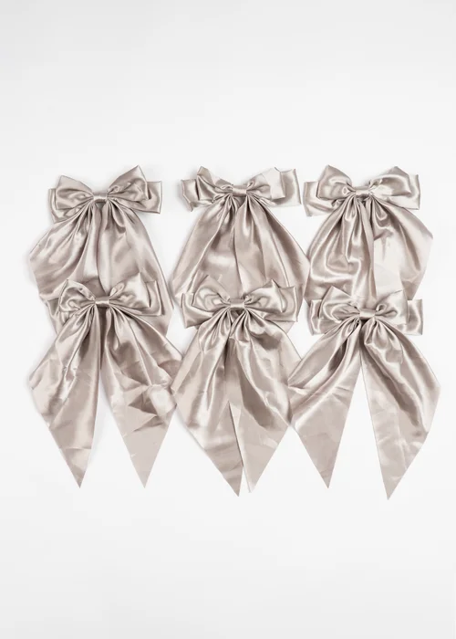 Scottish Everlastings Satin Bow Clip 6pc Set Silver 19cm - One Size Image 3